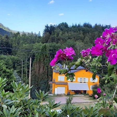 Gite Forestier Du Moulin Raon-sur-Plaine Екстер'єр фото