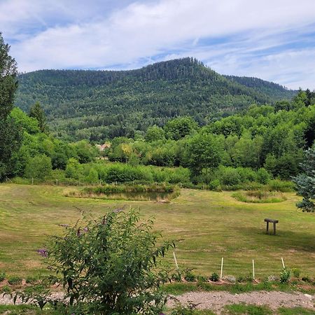 Gite Forestier Du Moulin Raon-sur-Plaine Екстер'єр фото
