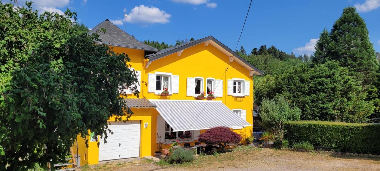 Gite Forestier Du Moulin Raon-sur-Plaine Екстер'єр фото