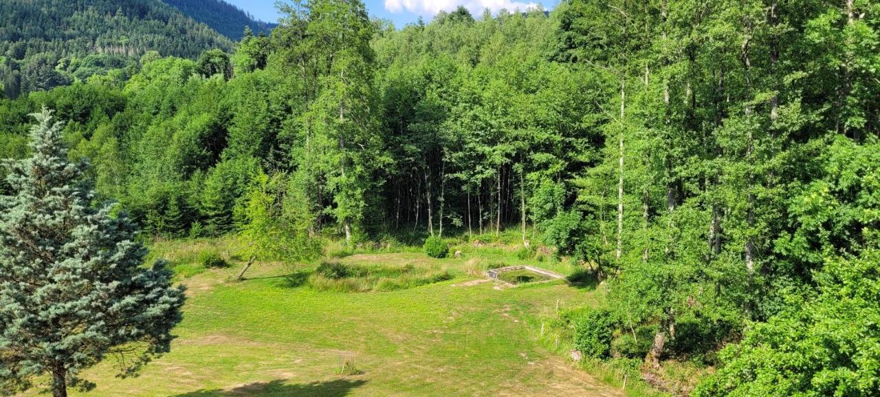 Gite Forestier Du Moulin Raon-sur-Plaine Екстер'єр фото