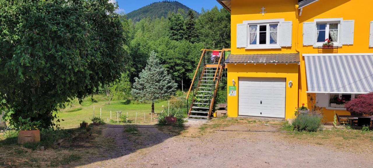 Gite Forestier Du Moulin Raon-sur-Plaine Екстер'єр фото