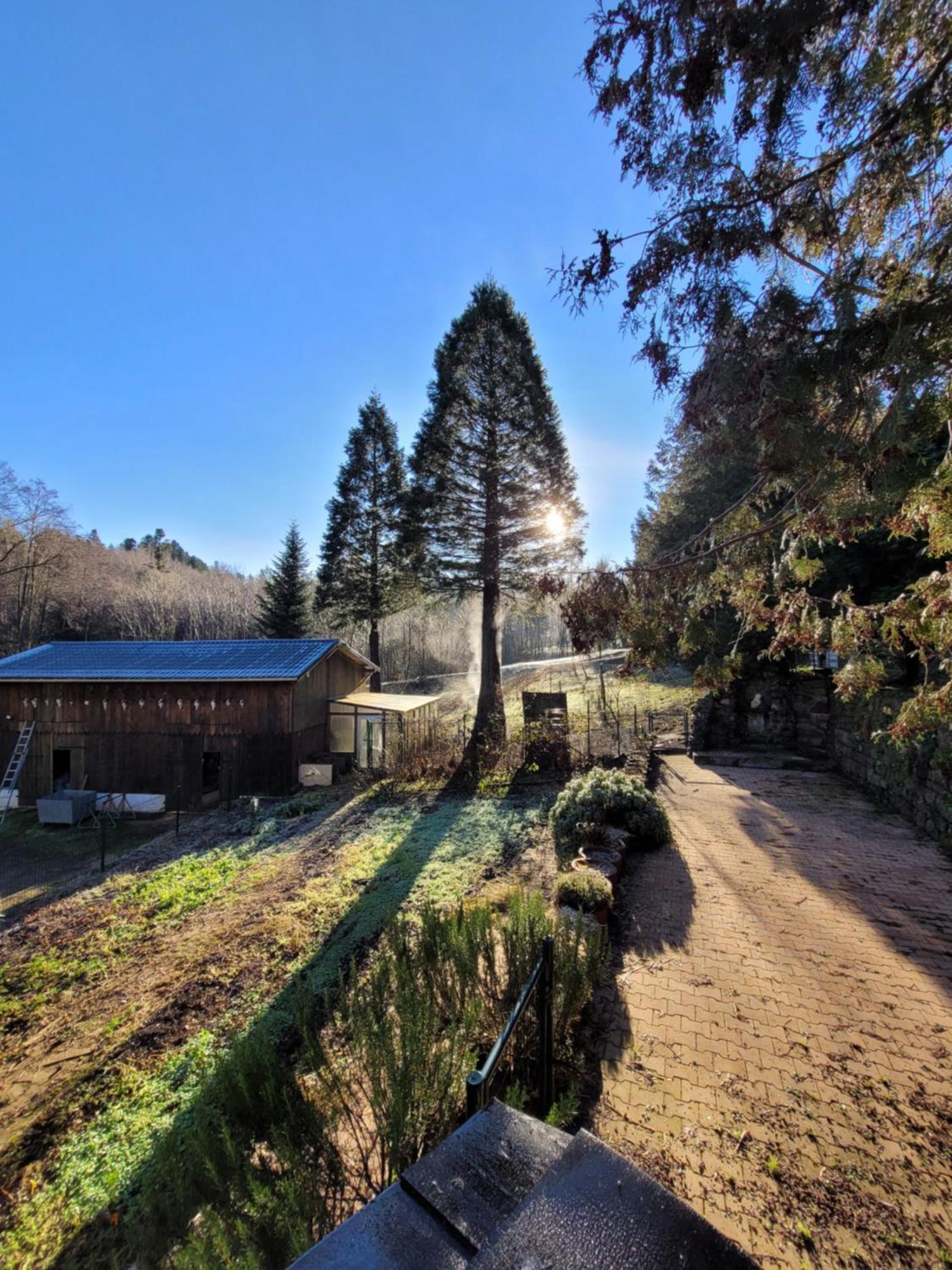 Gite Forestier Du Moulin Raon-sur-Plaine Екстер'єр фото