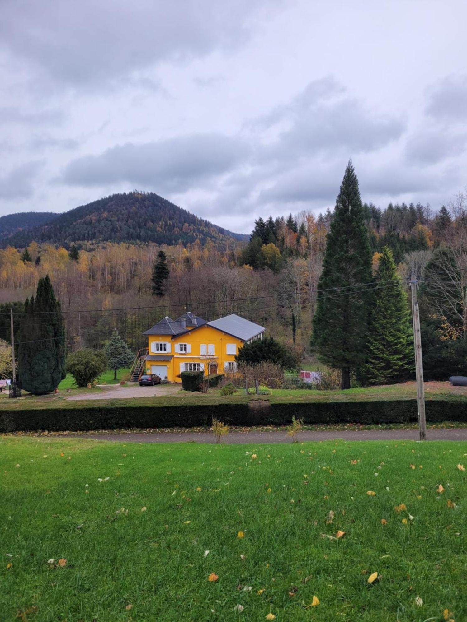 Gite Forestier Du Moulin Raon-sur-Plaine Екстер'єр фото