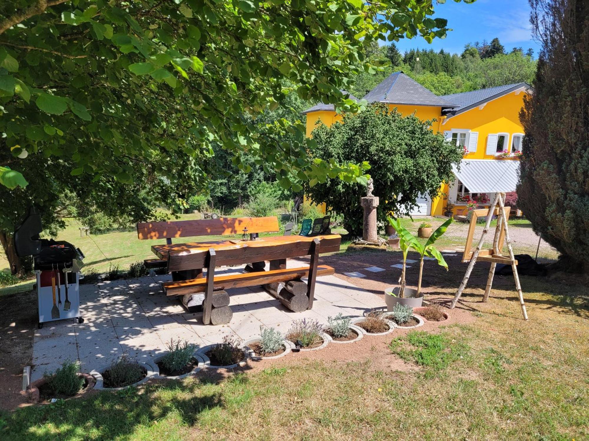 Gite Forestier Du Moulin Raon-sur-Plaine Екстер'єр фото