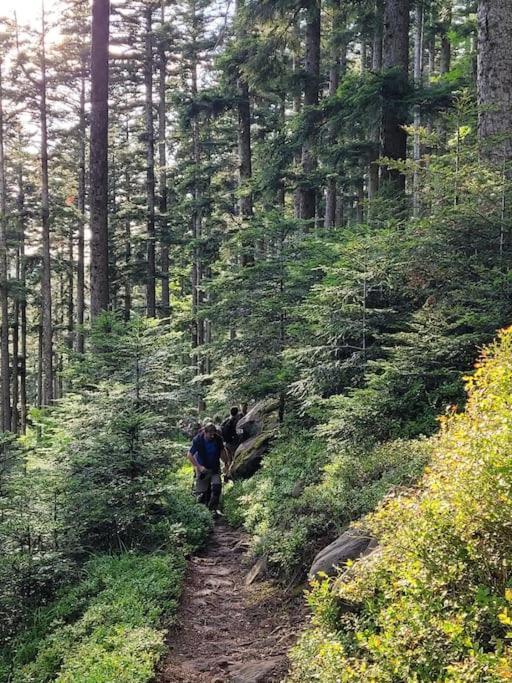 Gite Forestier Du Moulin Raon-sur-Plaine Екстер'єр фото