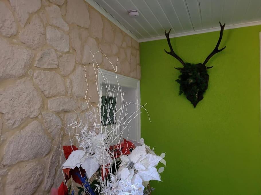 Gite Forestier Du Moulin Raon-sur-Plaine Екстер'єр фото