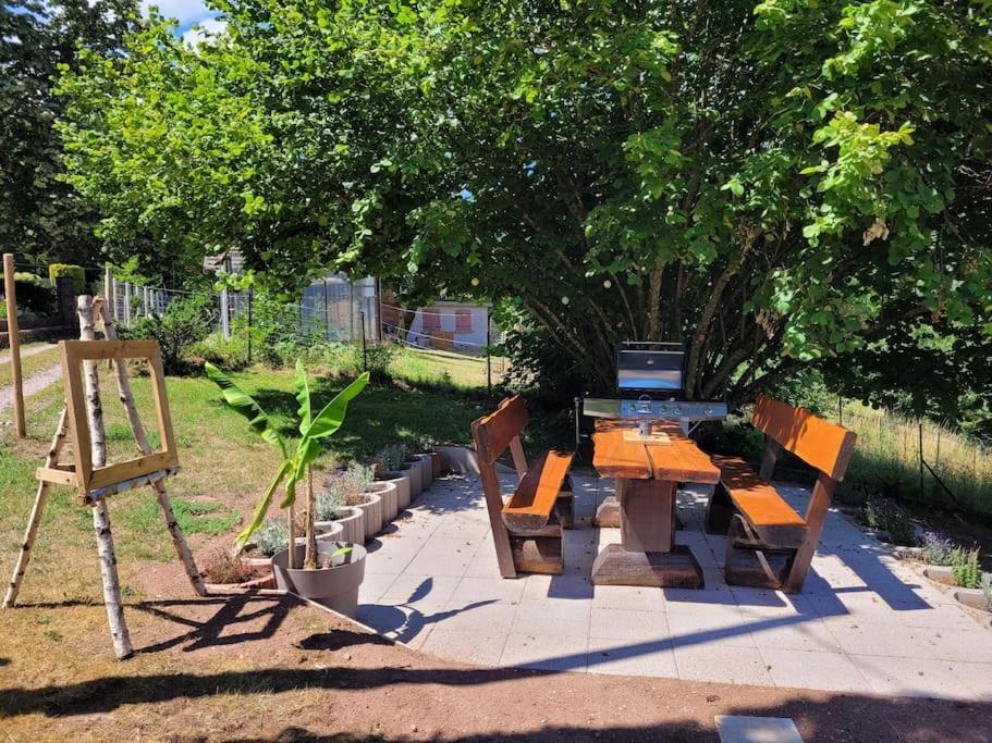 Gite Forestier Du Moulin Raon-sur-Plaine Екстер'єр фото