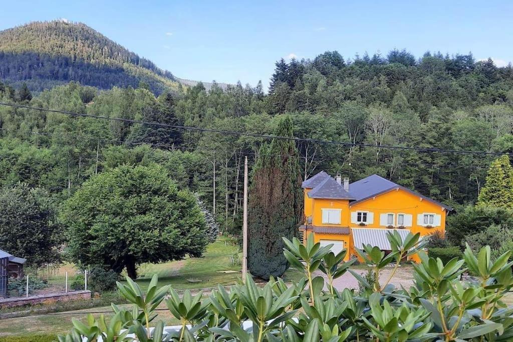Gite Forestier Du Moulin Raon-sur-Plaine Екстер'єр фото