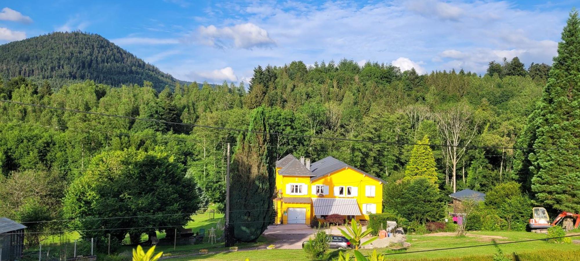 Gite Forestier Du Moulin Raon-sur-Plaine Екстер'єр фото