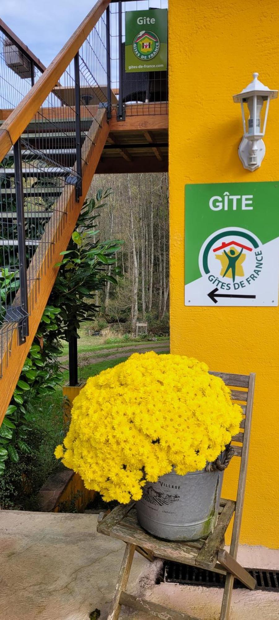 Gite Forestier Du Moulin Raon-sur-Plaine Екстер'єр фото