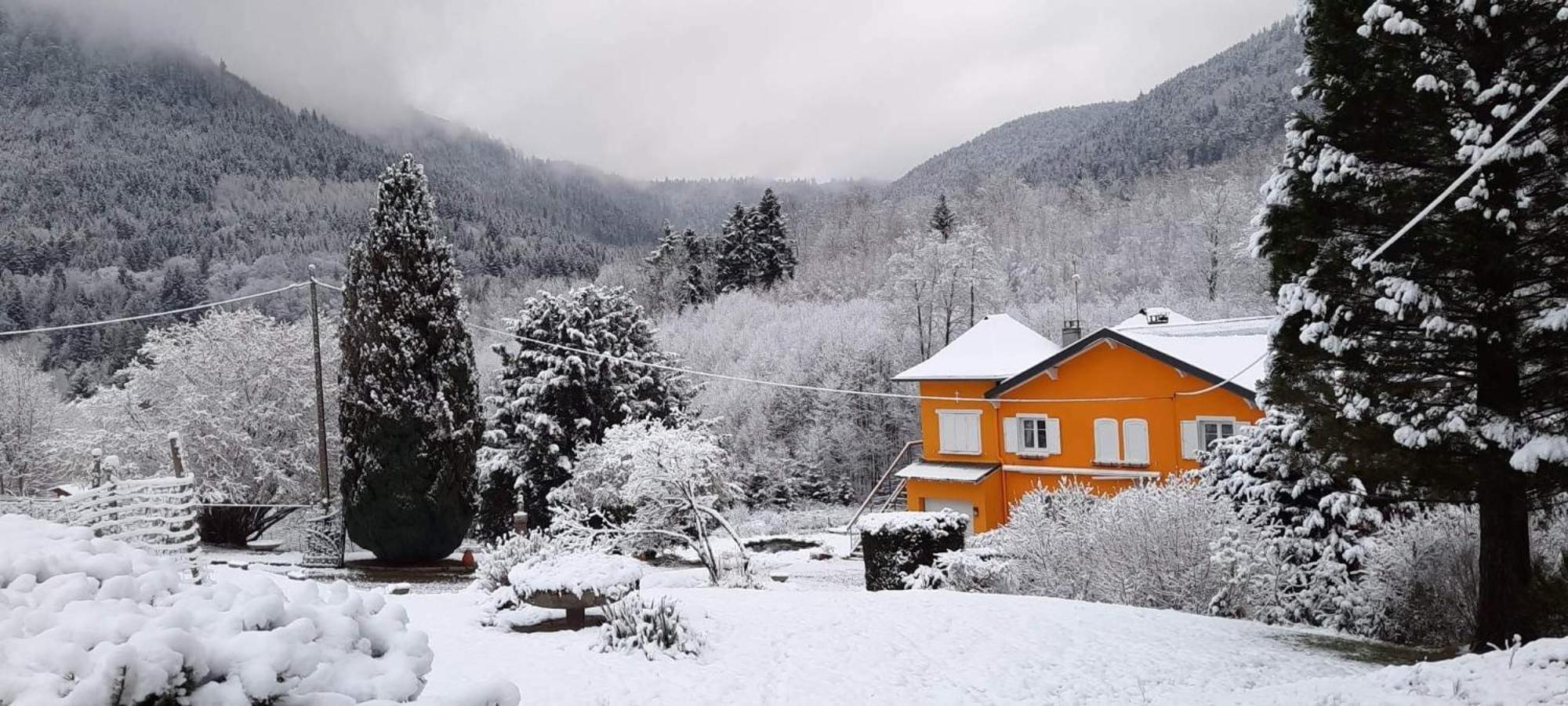 Gite Forestier Du Moulin Raon-sur-Plaine Екстер'єр фото